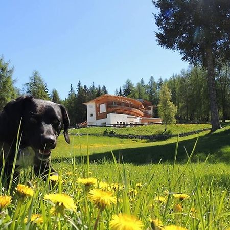 Il Falchetto Sarnonico Zewnętrze zdjęcie