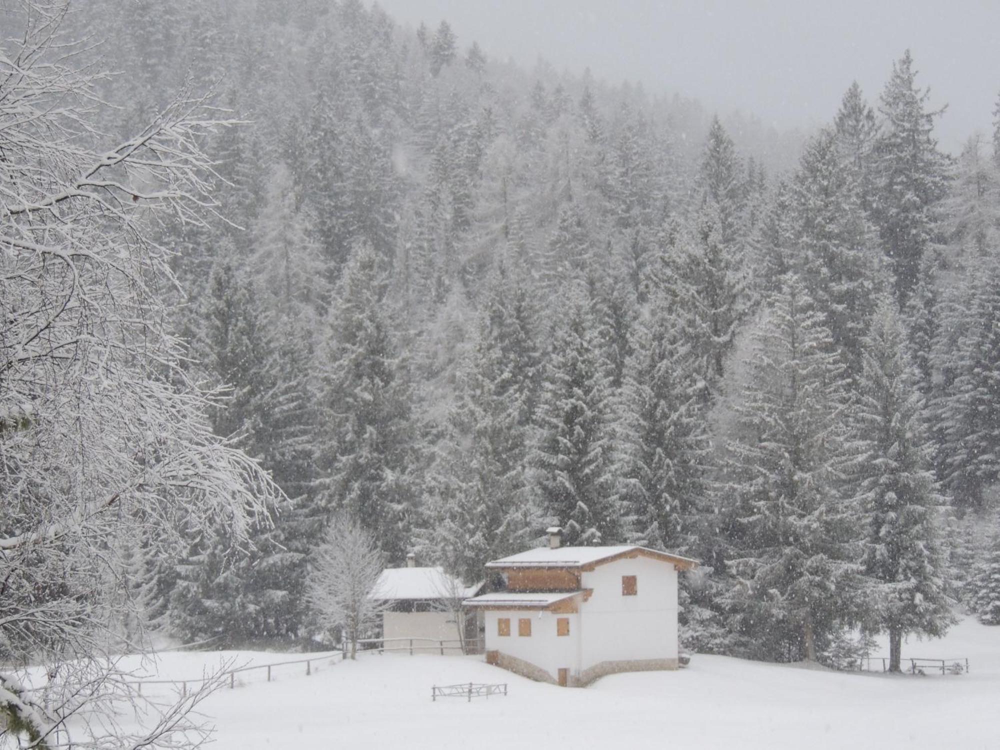 Il Falchetto Sarnonico Zewnętrze zdjęcie